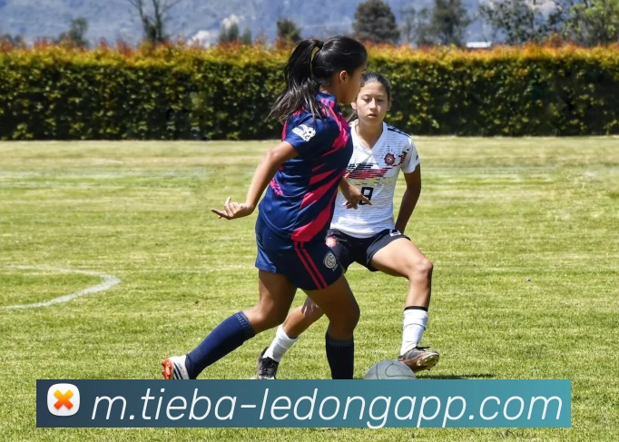 乐动体育服务体系